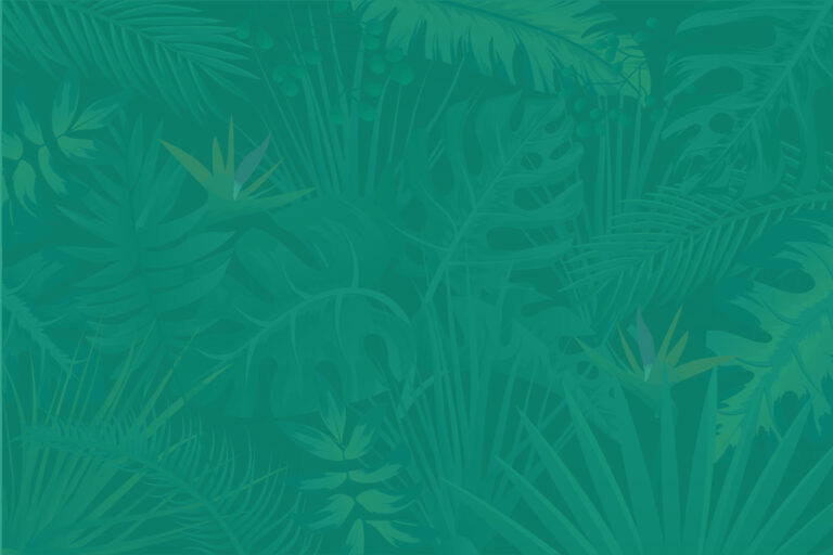 Tropical Background Dark Green